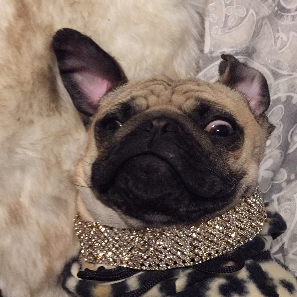 AKIRA Jeweled Choker